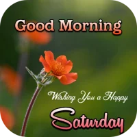 saturday good morning